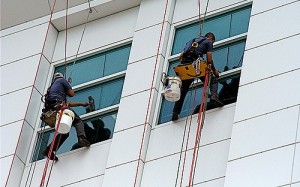  window cleaners